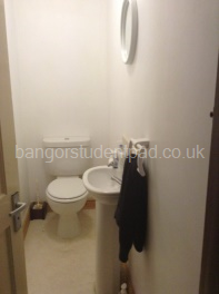 Seperate toilet and washbasin