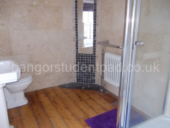 Spacious bathroom