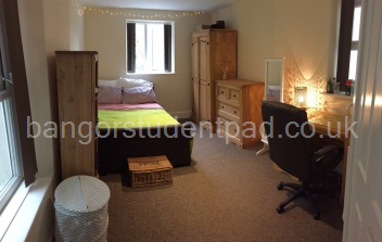 room 8