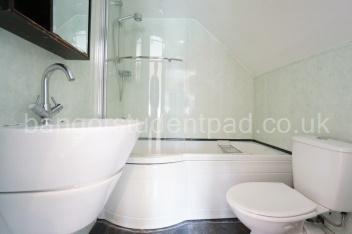 2ND BATHROOM IN ANNEX