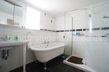 MAIN BATHROOM - BATH & SHOWER