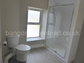 Second Floor Shower Room