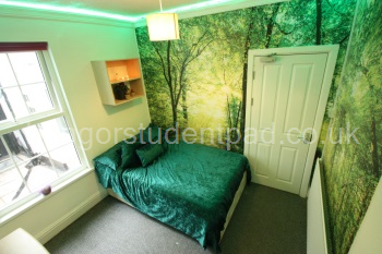Forestland Room 7.4