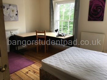 All rooms deep-cleaned between tenancies