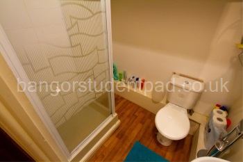 Shower room and toilet