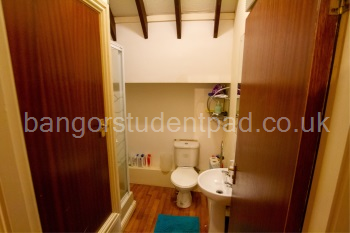 Entrance to shower room and toilet at top of stairs