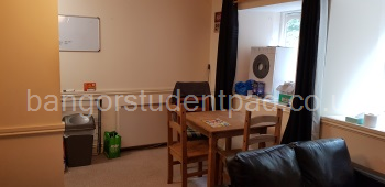 Lounge - tumble dryer in background