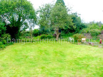 Back garden