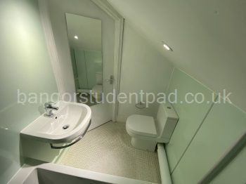 Llofft 5 / Bedroom 5 - EnSuite
