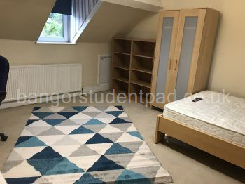 Attic Bedroom 4.4 x 4.2m