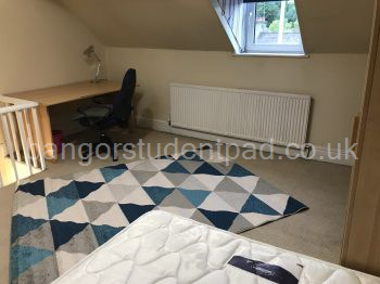 Attic Bedroom