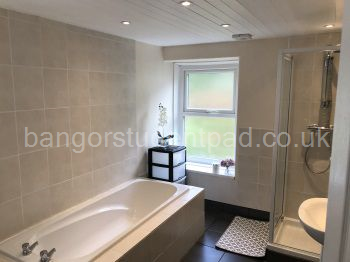Luxury Bathroom