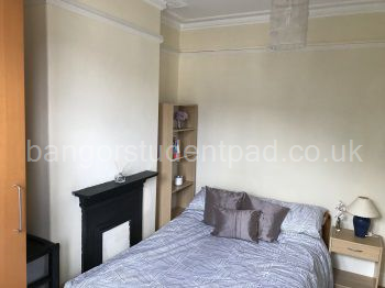 Spacious Ground Floor Front Bedroom
