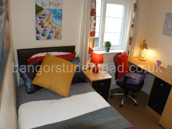 Room 4