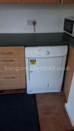 Kitchen - condensor dryer