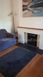 Lounge with gas fire