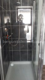 Mira shower