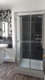 Bathroom - Mira shower