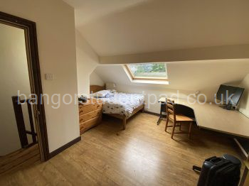 Spacious attic bedroom