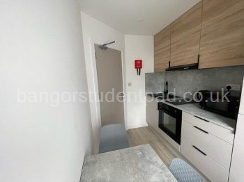 Flat 8 1-bed kitchen