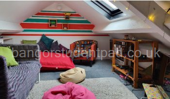 Attic TV room