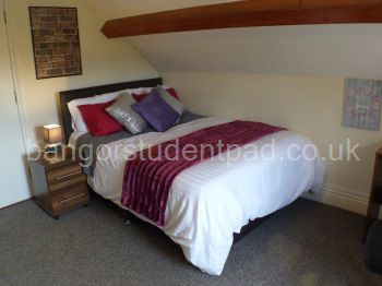 Room 1-1 (loft room)