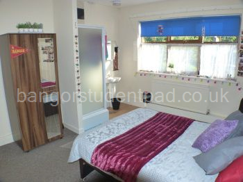 Room 3 (with its own shower)