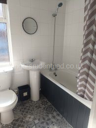 Bathroom - bath & shower