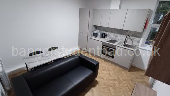 Flat 6 Lounge / kitchen