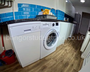 WASHING MACHINE / DISHWASHER