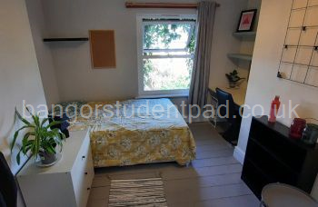 Student Accommodation: Attic TV room