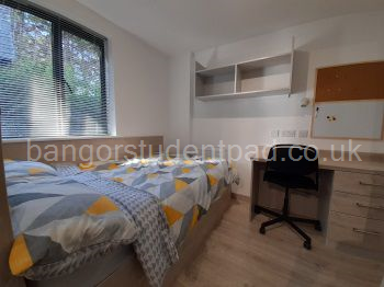Student Accommodation: 1-bed Bedroom