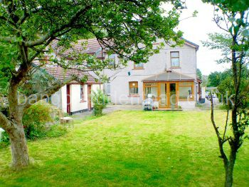 Student Accommodation: Back garden